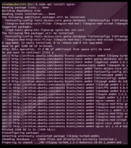 مرحله دوم از نصب Nginx روی Ubuntu 18.04