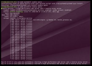 مرحله سوم از نصب Nginx روی Ubuntu 18.04