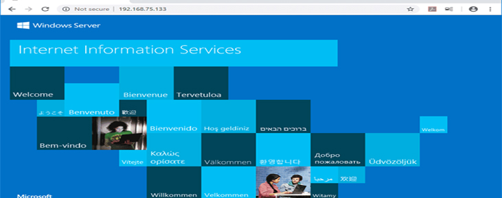 IIS